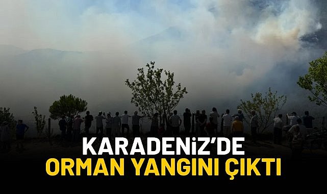 Bartın'da orman yangını çıktı