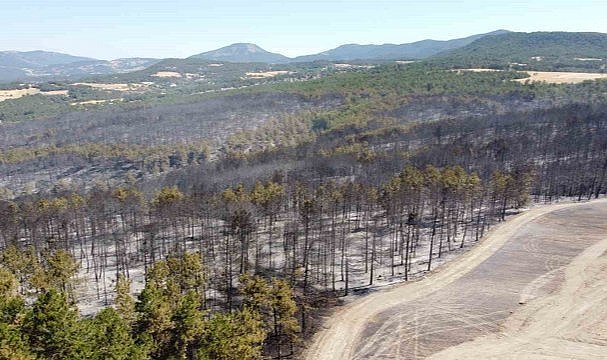 Bolu'daki orman yangınında şüpheli bir kişi tutuklandı