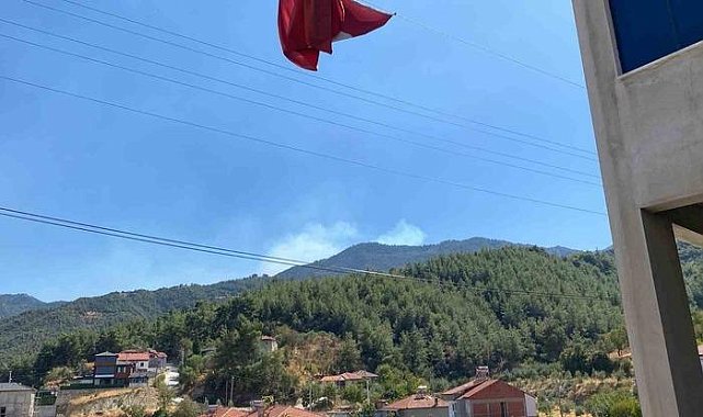 Buldan'da ormanlık alanda yangın çıktı