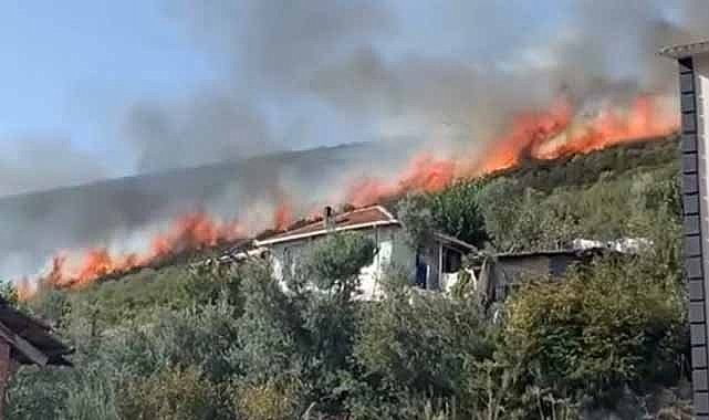 Bursa'da korkutan orman yangını