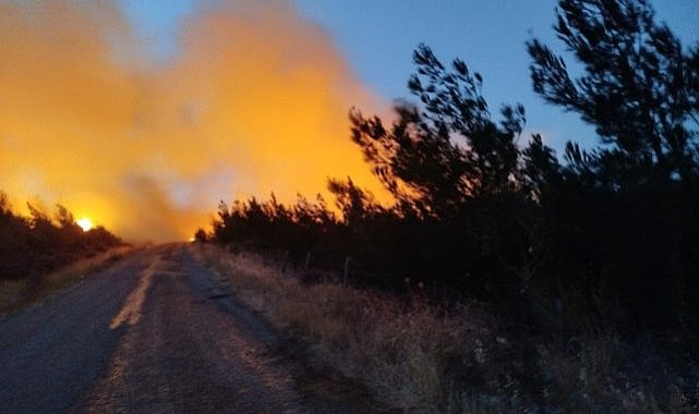 Çanakkale Merkez ve Bayramiç’te çıkan yangınlarla ilgili son durum!