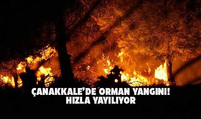 Çanakkale orman yangını hızla yayılıyor! Vatandaşlar tahliye ediliyor