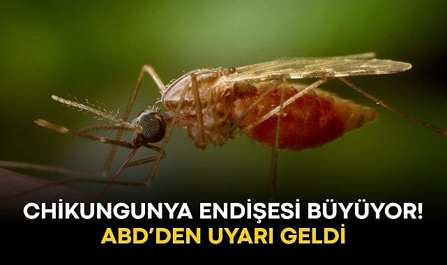 Chikungunya endişesi büyüyor! ABD'den vatandaşlarına uyarı geldi...