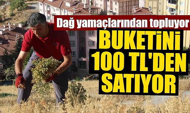Dağ yamaçlarından topluyor, buketini 100 TL’den satıyor