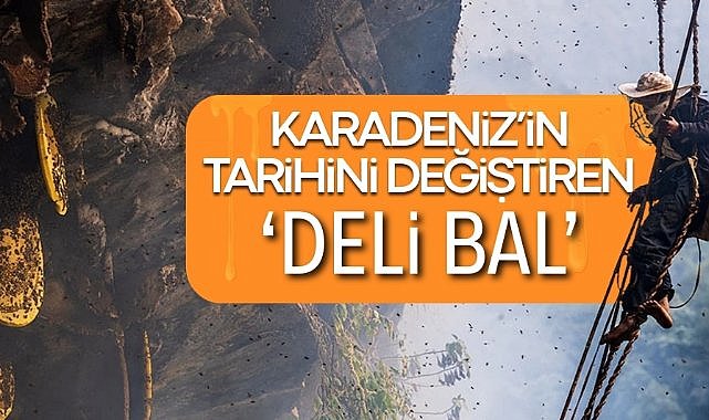 Delirmek için 80 metre tırmanıyorlar! Karadeniz’in tarihi balı