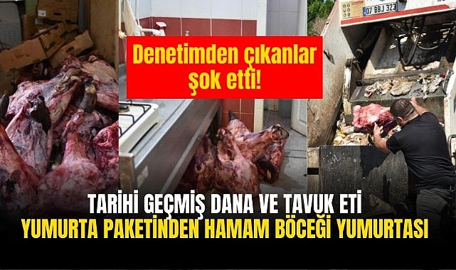 Denetimden çıkanlar şok etti! Tarihi geçmiş dana ve tavuk eti, Yumurta paketinden hamam böceği yumurtası