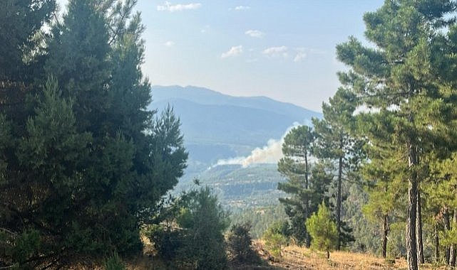 Denizli’de sarp bölgede yangın! Şiddetli rüzgar ekipleri zorluyor