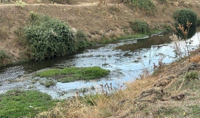 Erpiliç'ten salınan zehirli atık sular, hamile kadını hastanelik etti iddiası