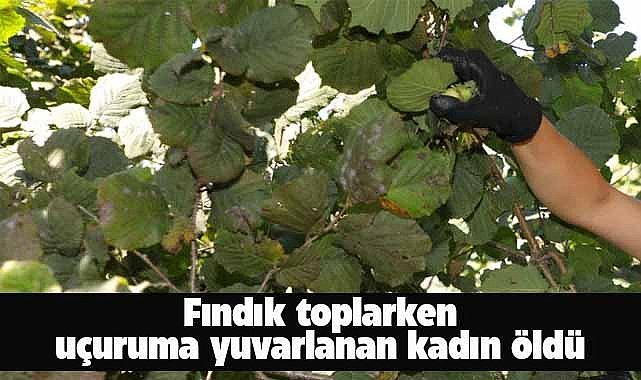 Fındık toplayan anne ve oğlu uçuruma yuvarlandı! Anne öldü
