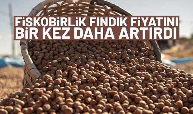 Fiskobirlik fındık fiyatını bir kez daha artırdı
