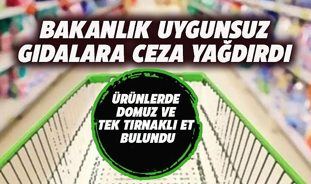 Gıdada uygunsuzluğa 1 milyar 524 milyon lira ceza 