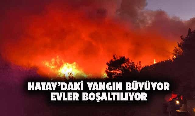 Hatay'da orman yangını! Evler tahliye ediliyor