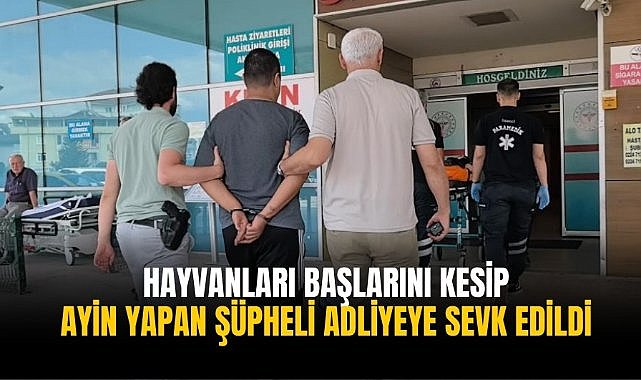 Hayvanları başlarını kesip ayin yapan şüpheli adliyeye sevk edildi