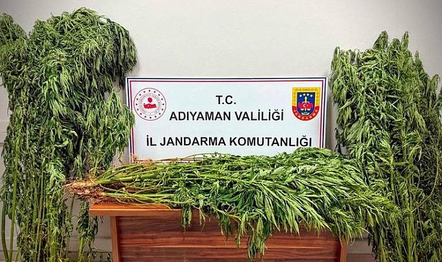 Jandarmadan uyuşturucu operasyonu: 9 gözaltı