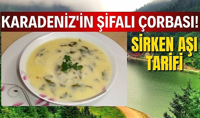 Karadeniz'in şifalı çorbası! Sirken aşı tarifi, Sirken aşkı nasıl yapılır?