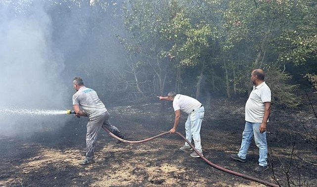 Kırklareli'nde çıkan orman yangını söndürüldü