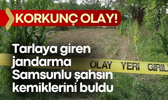 Korkunç olay! Tarlaya giren jandarma Samsunlu Cafer Ak kemiklerini buldu