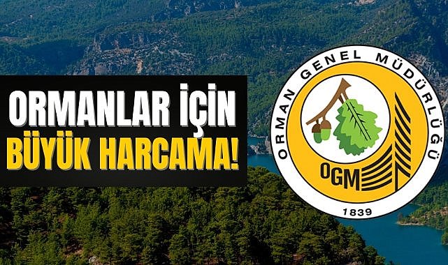 Ormanların korunması için büyük harcama!