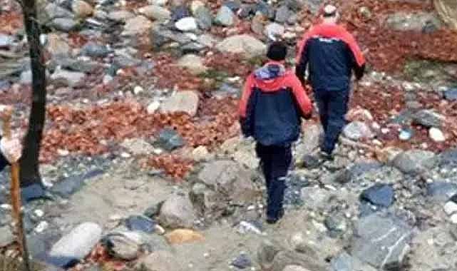 Ormanlık alanda çürümüş ceset bulundu