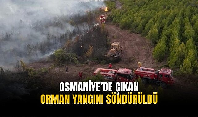 Osmaniye'de çıkan orman yangını söndürüldü