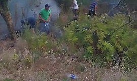 Otluk alanda çıkan yangın korkuttu!