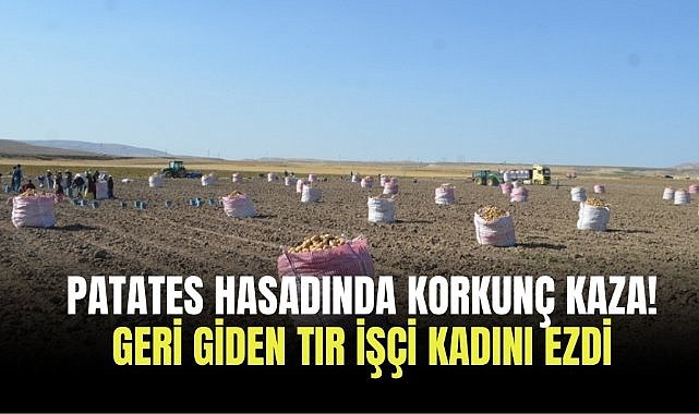 Patates hasadında korkunç kaza! Geri giden tır işçi kadını ezdi