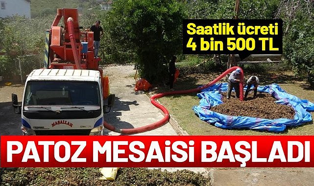 Patoz mesaisi başladı: Saatlik ücreti 4 bin 500 TL