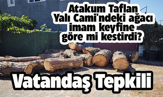 Samsun Atakum Taflan Yalı Cami'ndeki ağacı imam kestirdi iddiası! Vatandaşlardan imama tepki