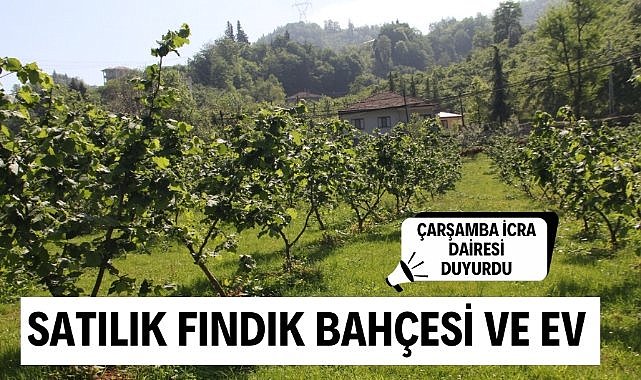 Samsun'da 10 dönümlük fındık bahçesi ve ev satışta