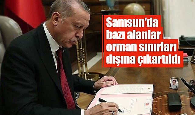 Samsun'da bazı alanlar orman sınırları dışına çıkartıldı