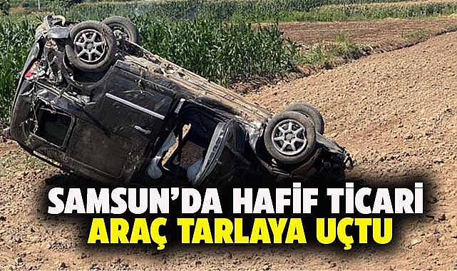 Samsun’da hafif ticari araç tarlaya devrildi! Sürücüsü yaralandı