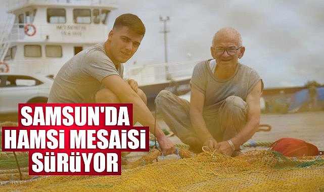 Samsun'da hamsi mesaisi sürüyor