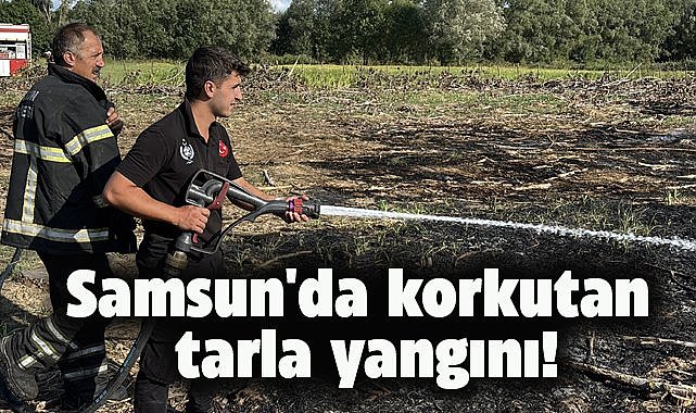 Samsun'da korkutan tarla yangını!