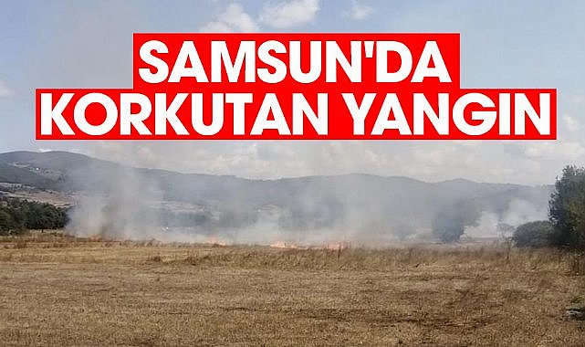 Samsun'da korkutan yangın