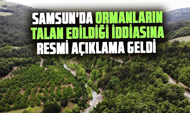 Samsun'da ormanların talan edildiği iddiasına resmi açıklama geldi