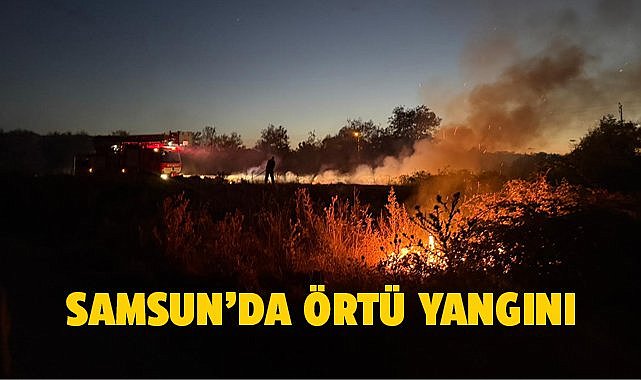 Samsun'da örtü yangını!