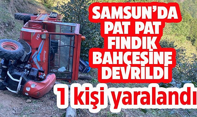Samsun'da pat pat fındık bahçesine devrildi! 1 yaralı