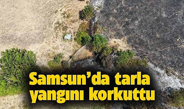 Samsun'da tarlada çıkan yangın korkuttu!