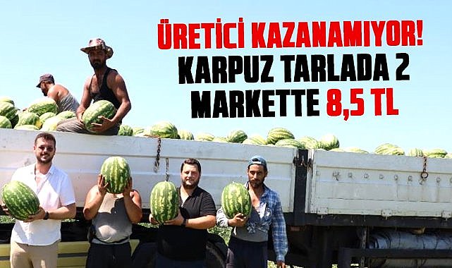 Samsun'da üretici kazanamıyor! Karpuz tarlada 2, markette 8,5 TL