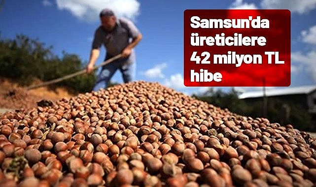 Samsun'da üreticilere 42 milyon TL hibe