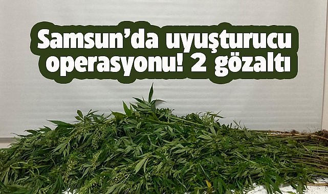 Samsun'da uyuşturucu operasyonu! 2 gözaltı