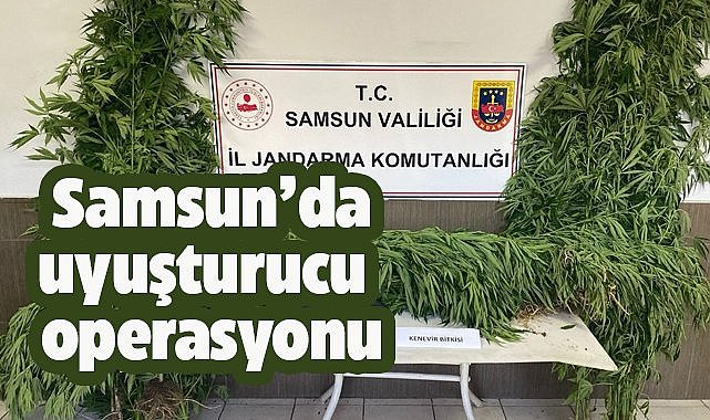 Samsun'da uyuşturucu operasyonu! 2 kişi yakalandı