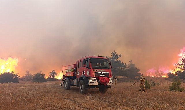 Samsun'dan uyarı! Yangın söndükten sonra kök yanması devam edebilir