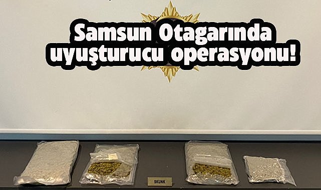 Samsun otogarında uyuşturucu operasyonu! 2 Kilo 150 gram skunk ele geçirildi