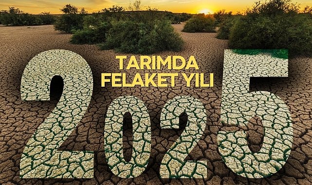 Samsunlu profesörden korkutan iddia! Gıda krizi kapıda