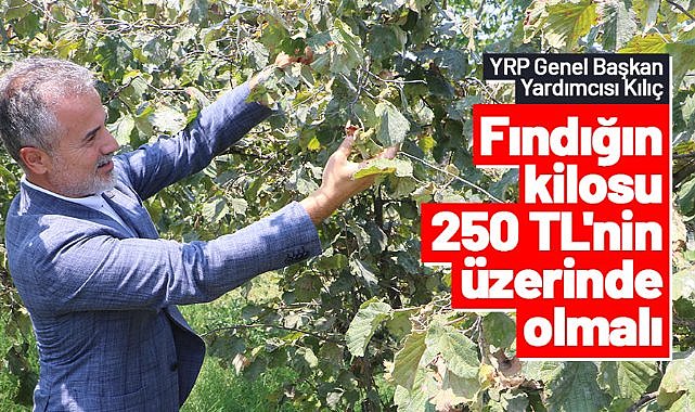 Suat Kılıç: Fındığın kilosu 250 TL'nin üzerinde olmalı