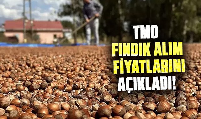 TMO fındık alım fiyatlarını açıkladı! İşte rakamlar
