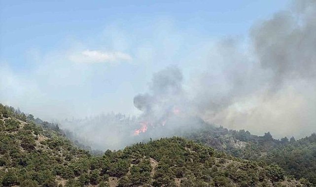 Tokat'ın Erbaa ilçesinde orman yangını