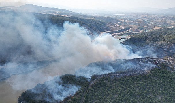 Tokat'ta orman yangını!