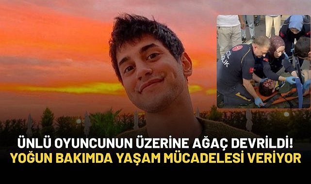Ünlü oyuncunun üzerine ağaç devrildi! Yoğun bakımda yaşam mücadelesi veriyor...